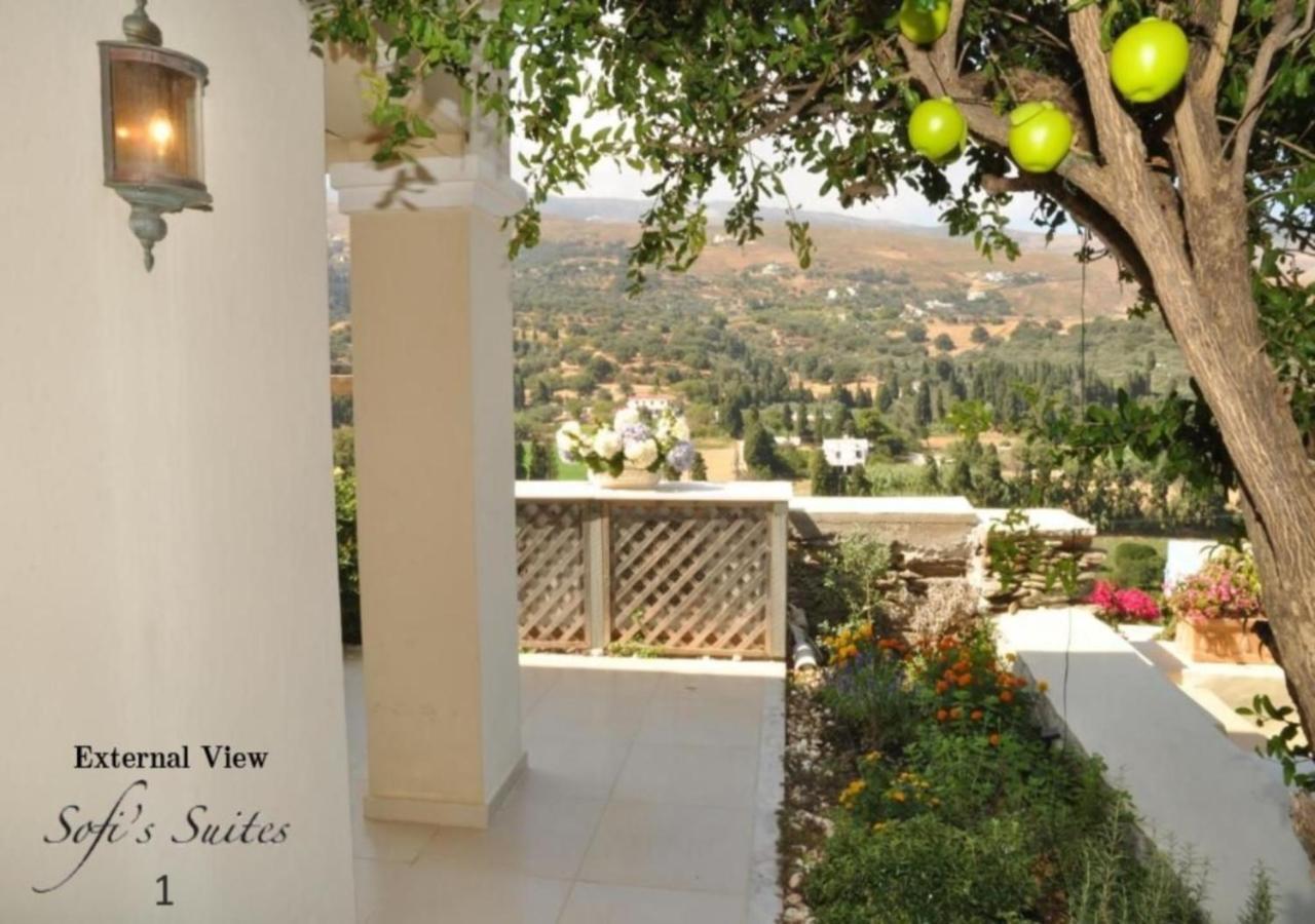 Sofi'S Suites Andros Exterior foto